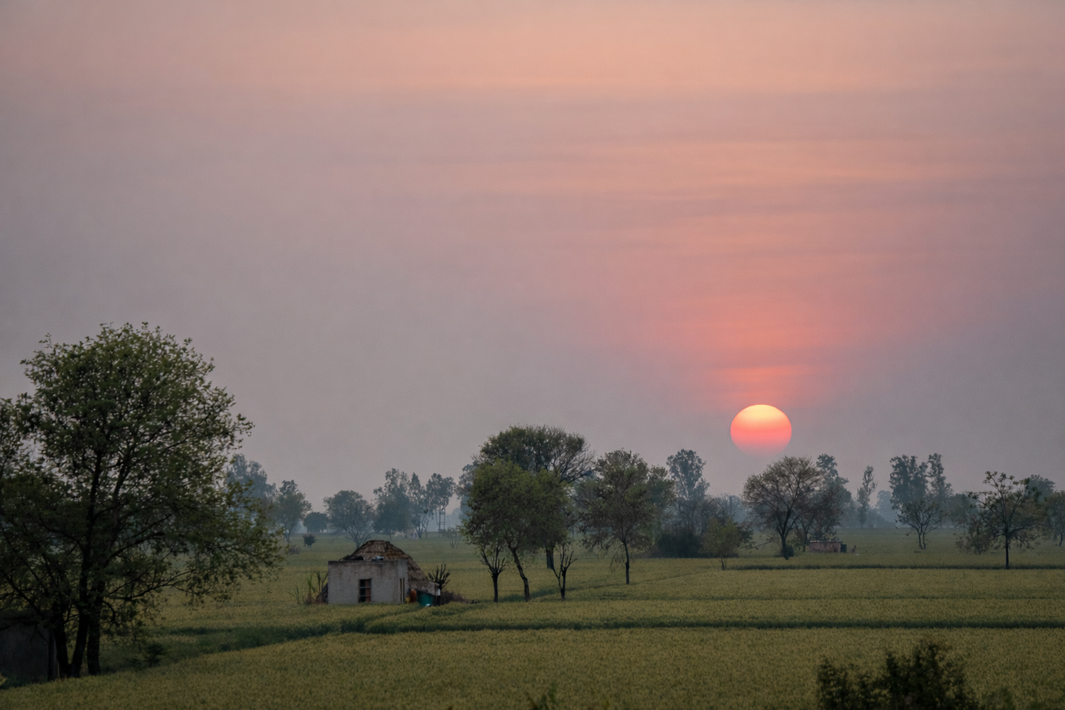 Golden sunset over the open farm landscape